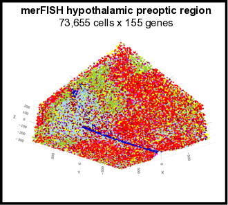 merFISH