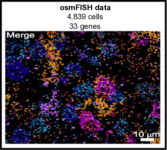 osmFISH