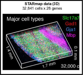 STARmap